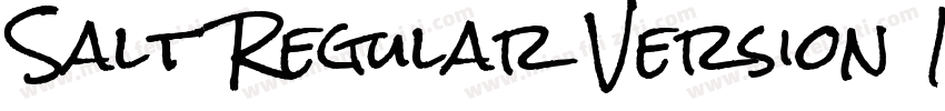 Salt Regular Version 1000字体转换
